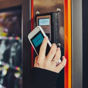 southsass cat cashless img