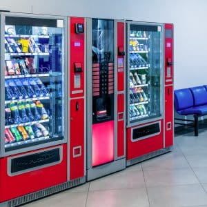 southsass cat vending img